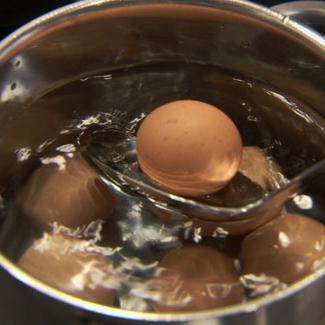 Узнаем как много минут варить яйца вкрутую? Узнаем как много минут варить перепелиные яйца вкрутую?